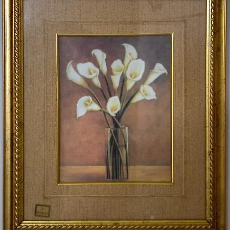 度假居 Solomon House